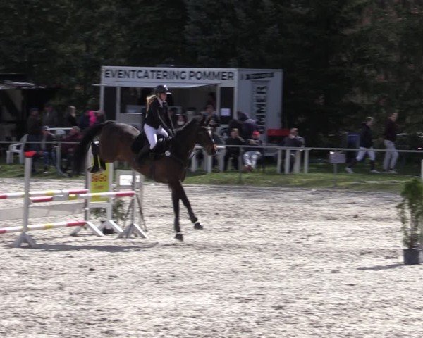 Reitturnier Pietzpuhl 2025