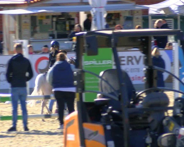 Reitturnier Borken 2025