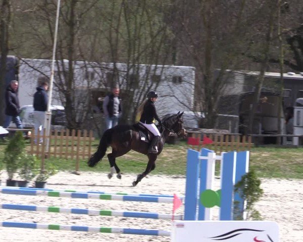 Reitturnier Pietzpuhl 2025