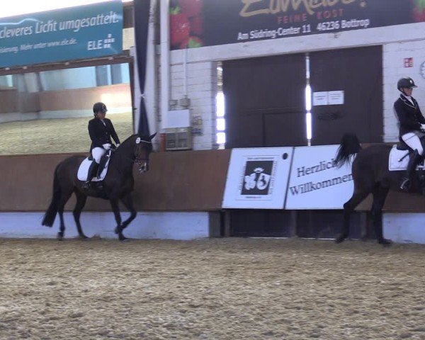 Reitturnier Bottrop 2025