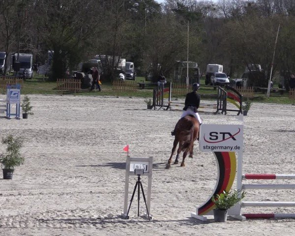 Reitturnier Pietzpuhl 2025