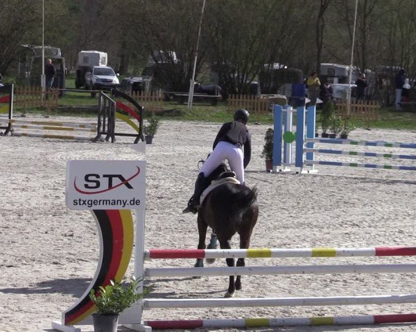 Reitturnier Pietzpuhl 2025