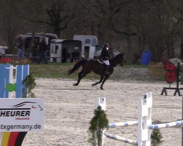 Reitturnier Pietzpuhl 2025