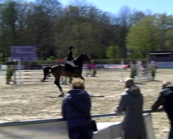 Reitturnier Bottrop 2025