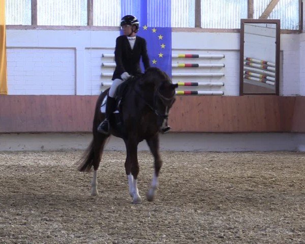 Reitturnier Bottrop 2025