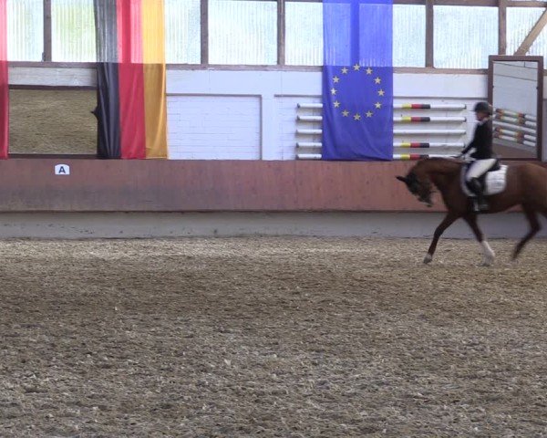Reitturnier Bottrop 2025
