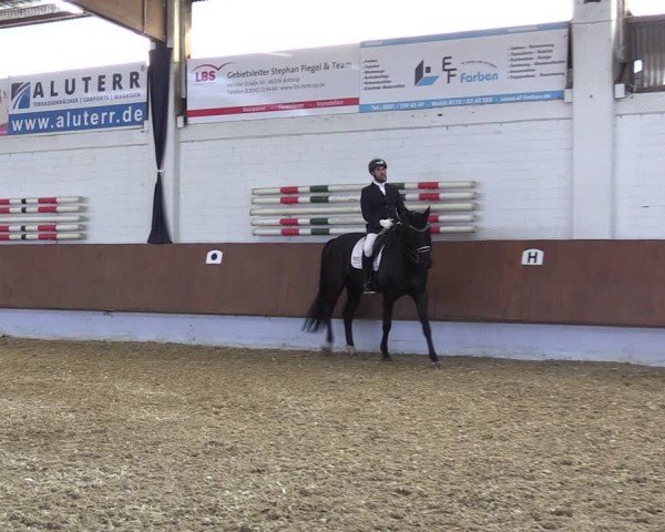 Reitturnier Bottrop 2025