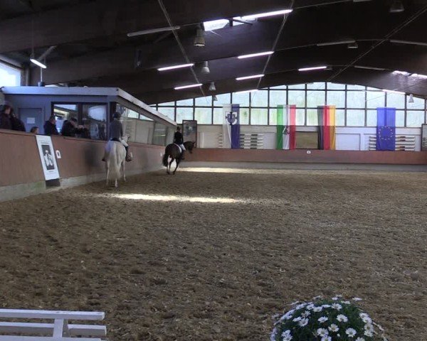 Reitturnier Bottrop 2025