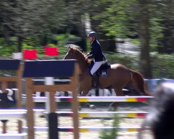 Reitturnier Bottrop 2025
