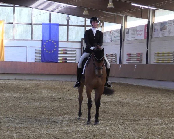 Reitturnier Bottrop 2025
