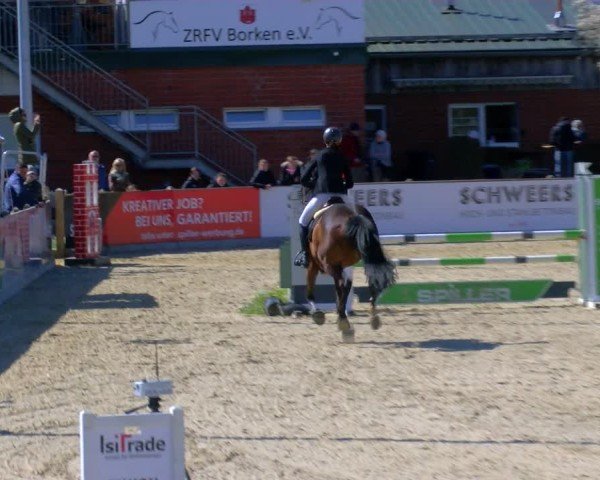 Reitturnier Borken 2025