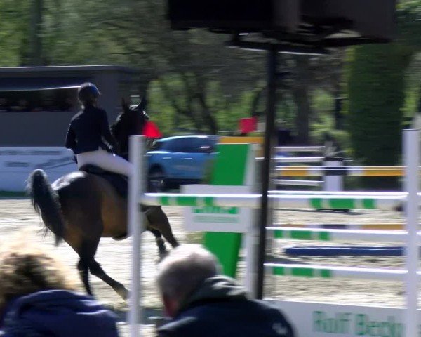 Reitturnier Bottrop 2025