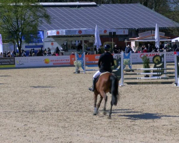 Reitturnier Borken 2025