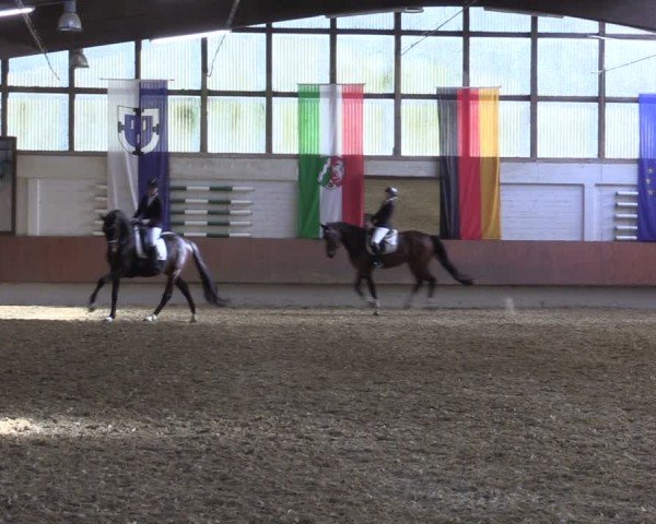 Reitturnier Bottrop 2025