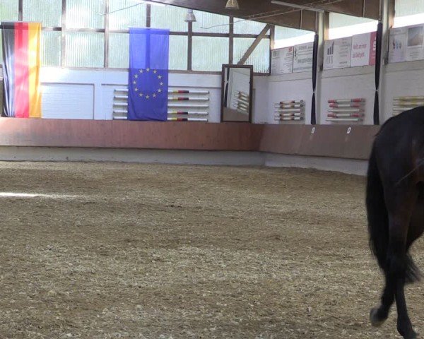 Reitturnier Bottrop 2025
