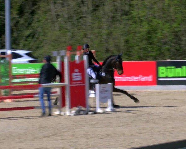 Reitturnier Borken 2025