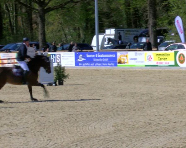 Reitturnier Borken 2025