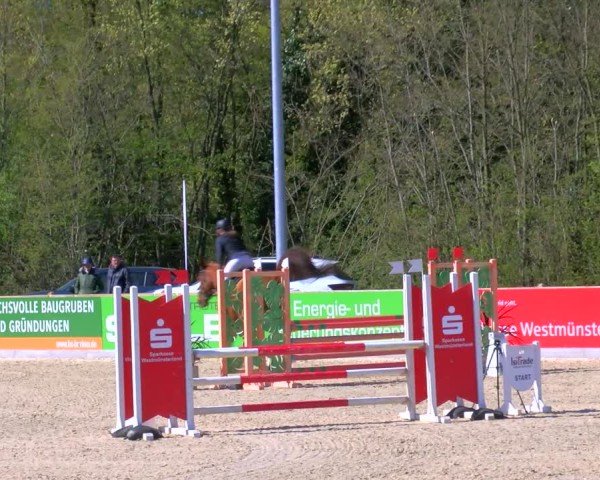 Reitturnier Borken 2025