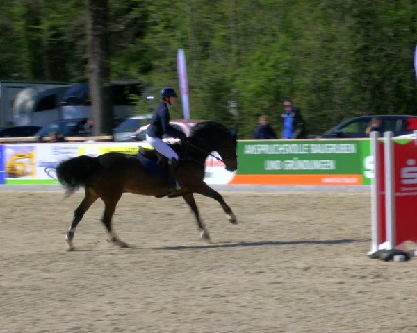 Reitturnier Borken 2025