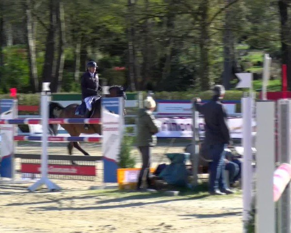 Reitturnier Bottrop 2025
