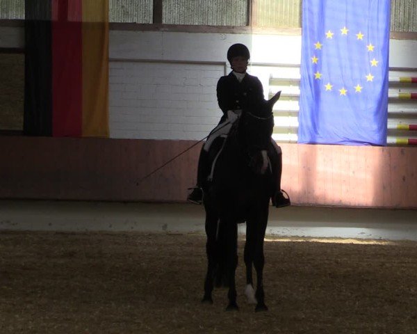 Reitturnier Bottrop 2025