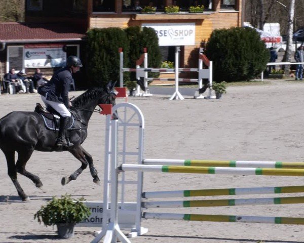 Reitturnier Richelsdorf 2025