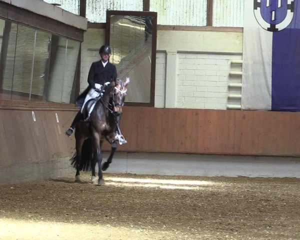 Reitturnier Bottrop 2025