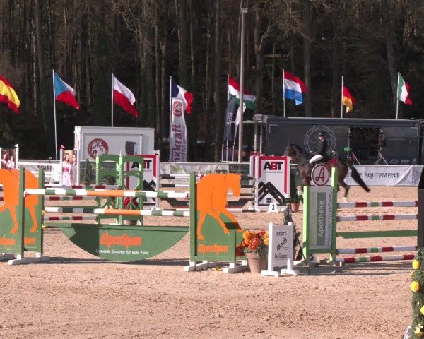 Reitturnier Ranshofen - Braunau am Inn 2025