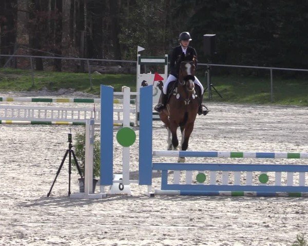 Reitturnier Pietzpuhl 2025