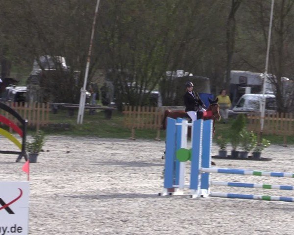 Reitturnier Pietzpuhl 2025
