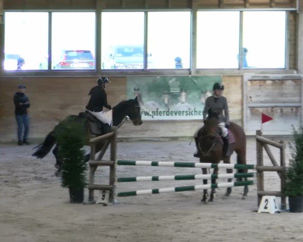 Reitturnier Rüti ZH 2025