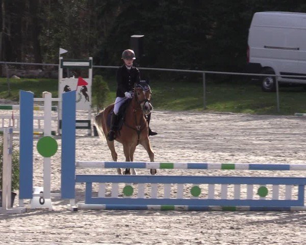 Reitturnier Pietzpuhl 2025
