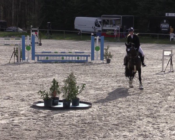 Reitturnier Pietzpuhl 2025