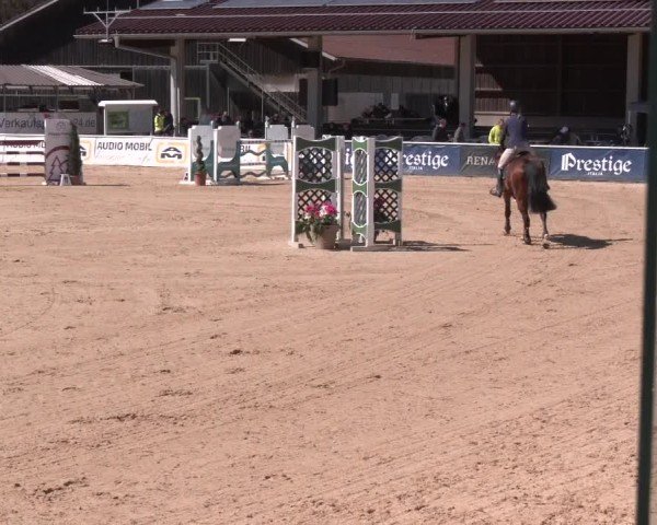 Reitturnier Ranshofen - Braunau am Inn 2025