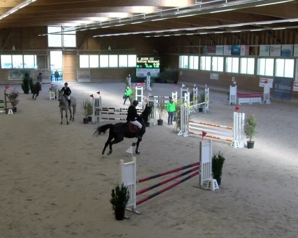 Reitturnier Rüti ZH 2025