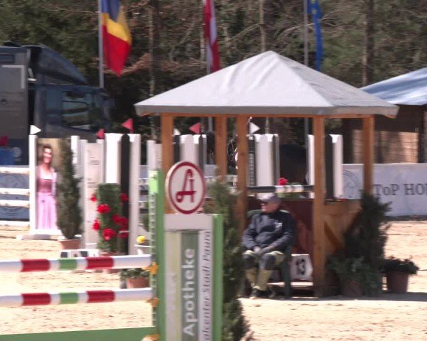 Reitturnier Ranshofen - Braunau am Inn 2025