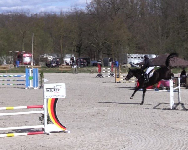 Reitturnier Pietzpuhl 2025