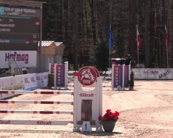Reitturnier Ranshofen - Braunau am Inn 2025