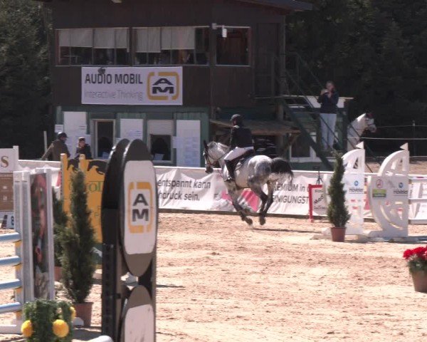 Reitturnier Ranshofen - Braunau am Inn 2025