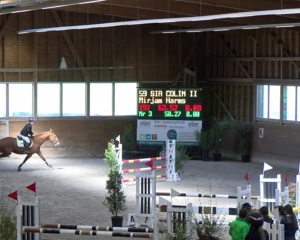 Reitturnier Rüti ZH 2025