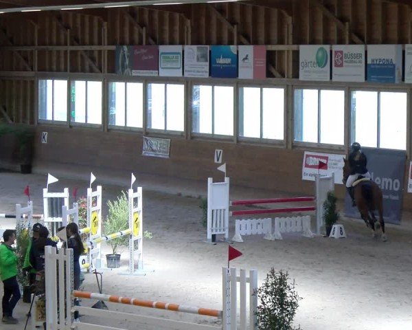 Reitturnier Rüti ZH 2025