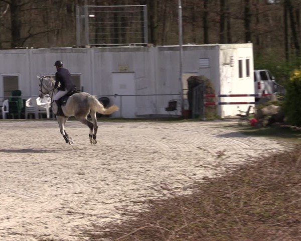 Reitturnier Pietzpuhl 2025