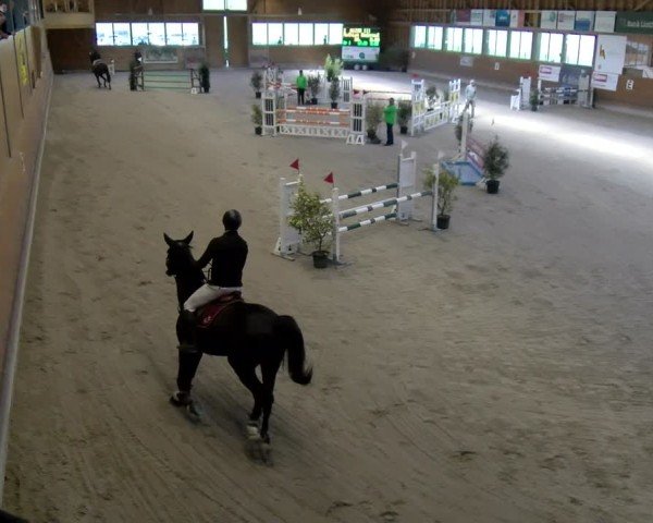 Reitturnier Rüti ZH 2025