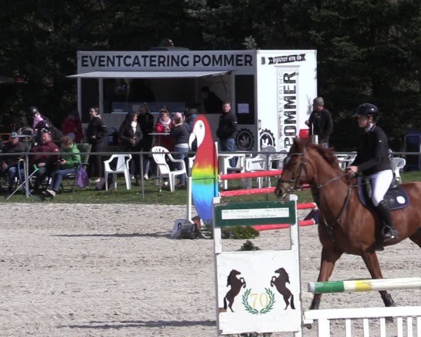 Reitturnier Pietzpuhl 2025
