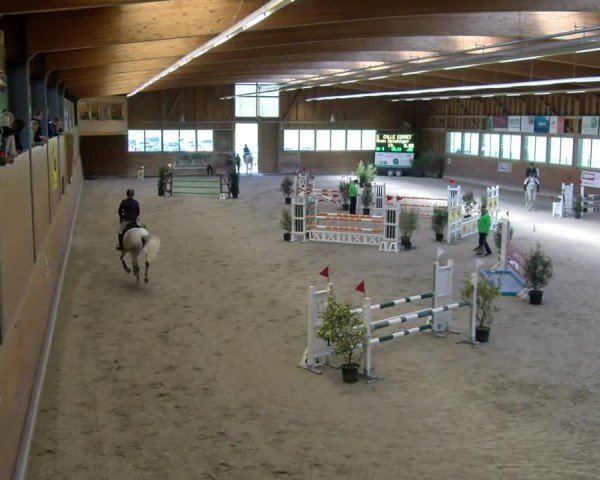 Reitturnier Rüti ZH 2025