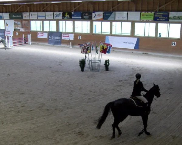 Reitturnier Rüti ZH 2025