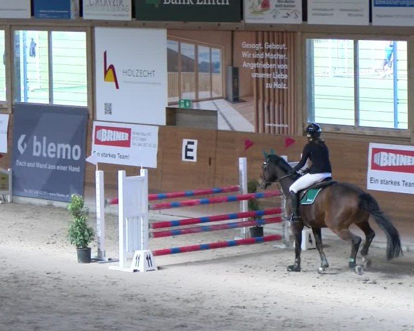 Reitturnier Rüti ZH 2025