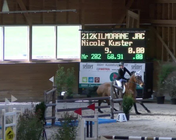 Reitturnier Rüti ZH 2025