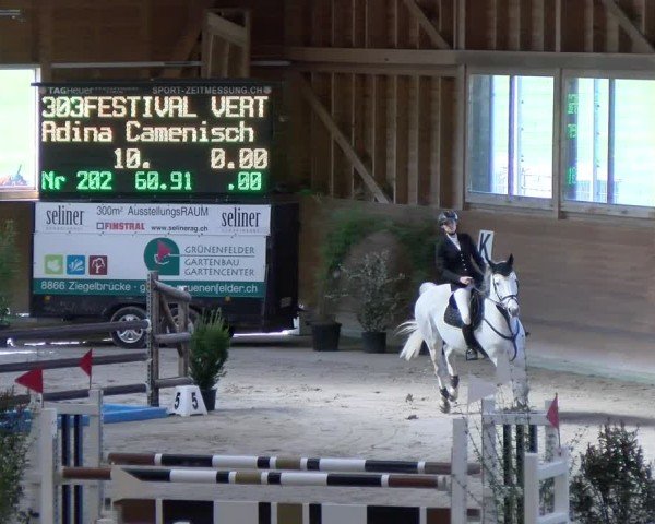 Reitturnier Rüti ZH 2025