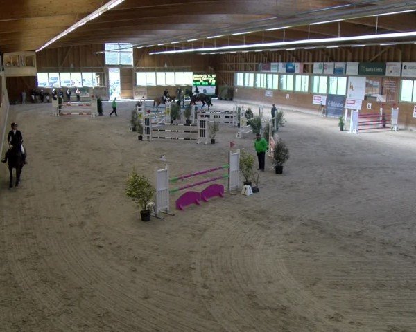 Reitturnier Rüti ZH 2025